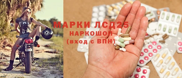 спиды Зеленокумск