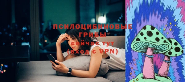 спиды Зеленокумск